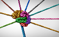 Different colored ropes forming a knot shaped like a brain.