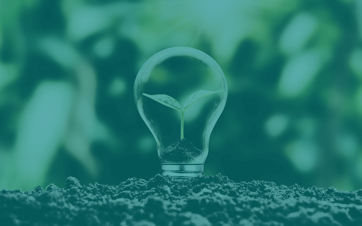 A lightbulb and a seedling growing out of the dirt.