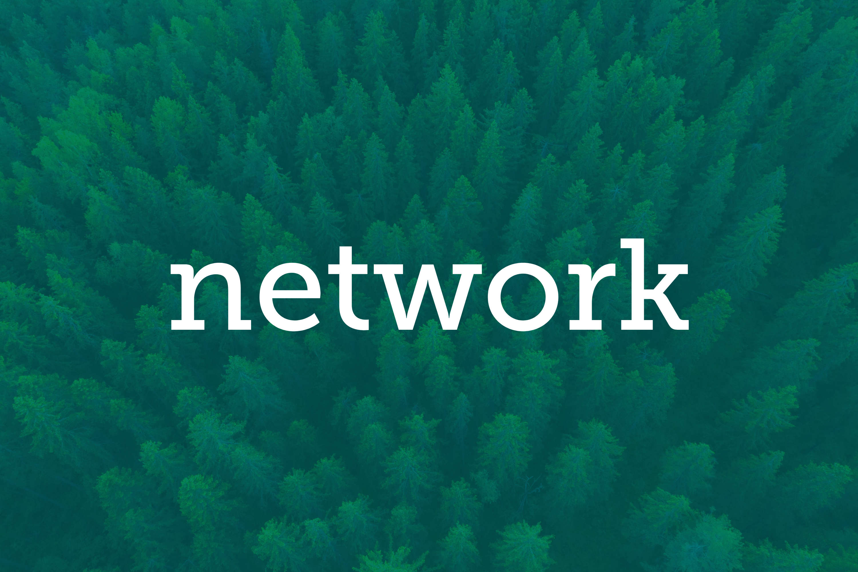 Network