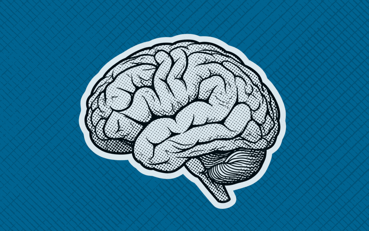 An illustration of a brain.