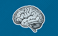 An illustration of a brain.
