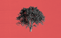A black and white tree.